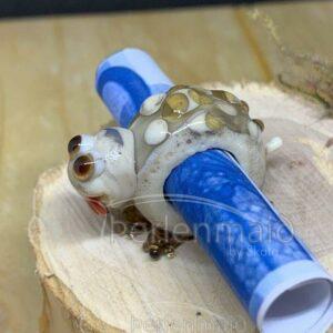 Geld- oder Gutschein Tier Schildkröte