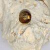 Palladium Folie Perle bernstein – Bild 2