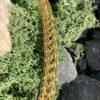 Wikinger Kette – Bild 2