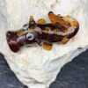 Drache Dreki Bernstein – Bild 2