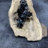 Drache Dreki Schwarz