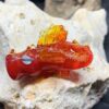 Drache Dreki Rot – Bild 2